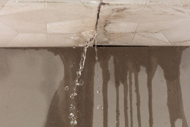 Professional Water Damage Restoration technician working in Elmaton, TX